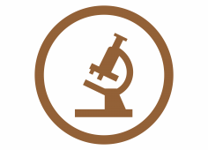 logo du réseau spécialité génie biomédical et instrumentation