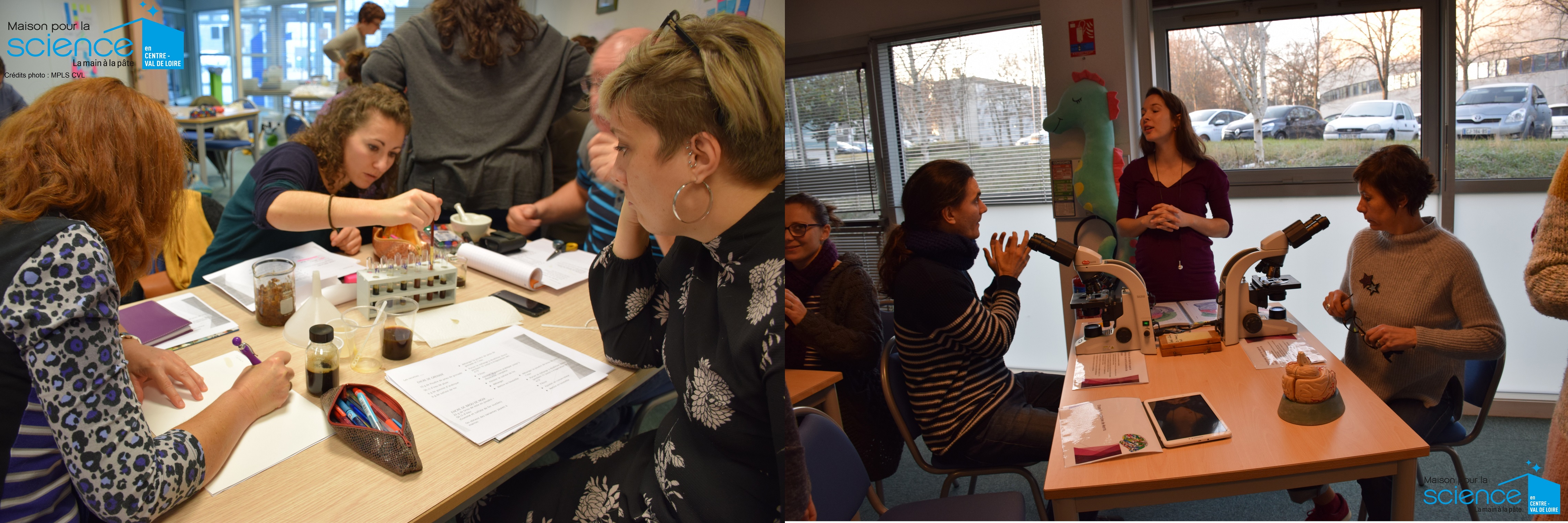 enseignants en formation : arts et sciences (gauche) , cerveau et apprentissages (droite) enseignants en formation : arts et sciences (gauche) , cerveau et apprentissages (droite)