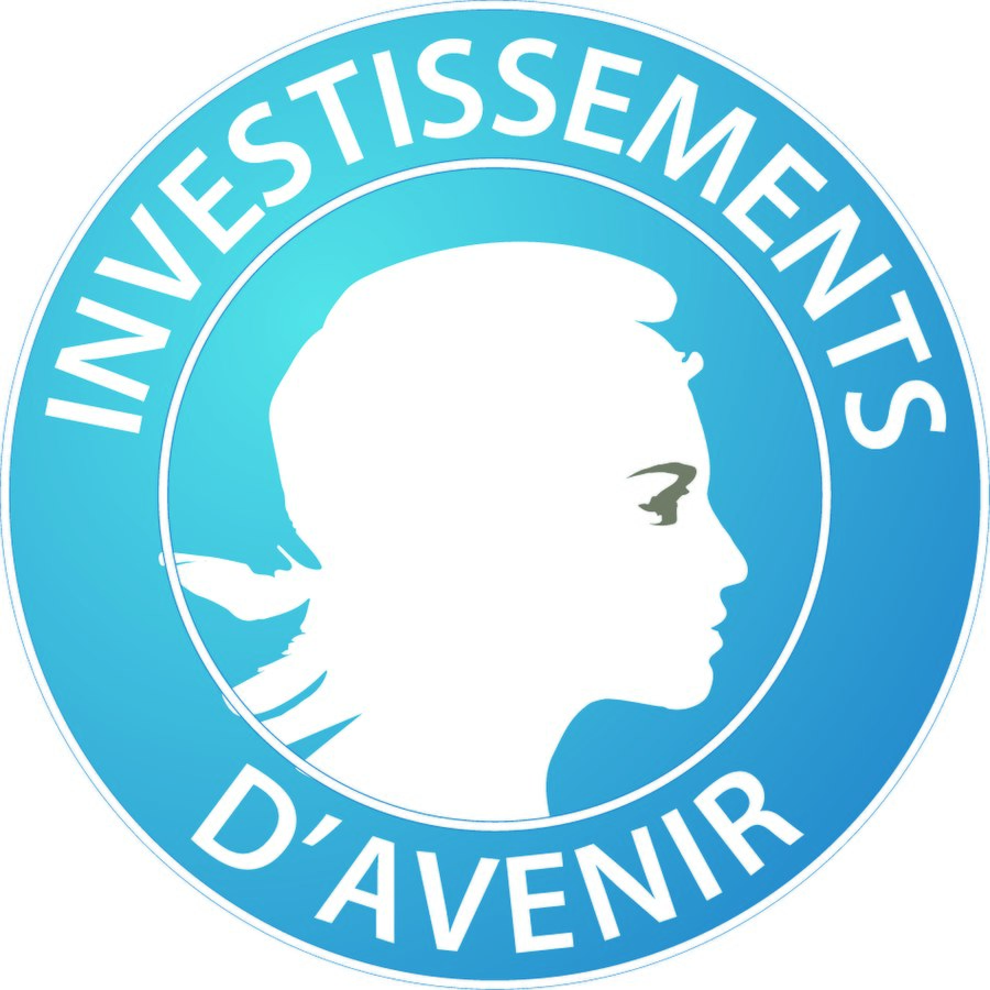 logo investissements avenir logo investissements avenir
