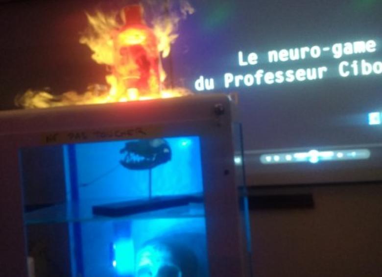 Salle du Neurogame - campus CNRS illustration neuro-game