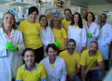 Team INEM & CBM neurogame 2019 Neurogame 2019