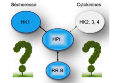Question HK Question HK