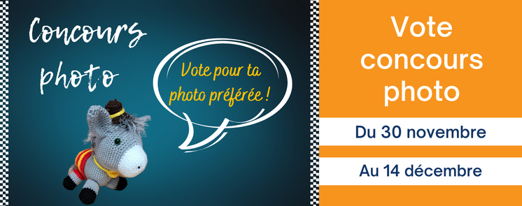 vote concours photo.png