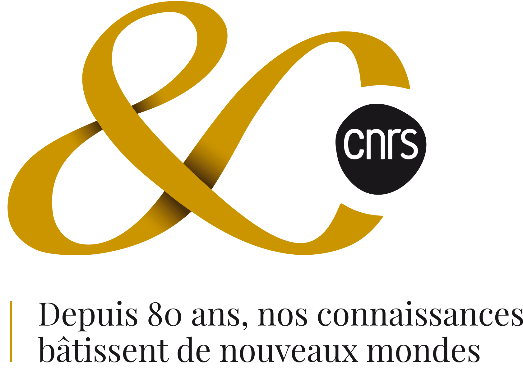 GREMI Logo 80 ans CNRS