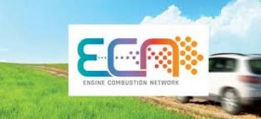 Engine Combustion Network