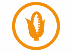 logo du réseau spécialité génie biologique et alimentaire