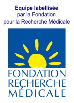fondation FRM