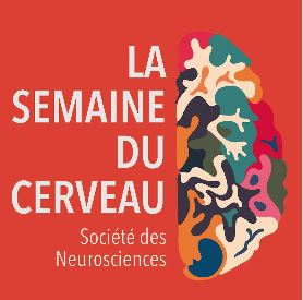 Semaine du cerveau 2021 Semaine du cerveau 2021