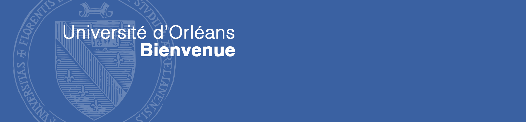 universite d orleans
