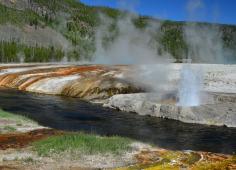 Geyser Geyser