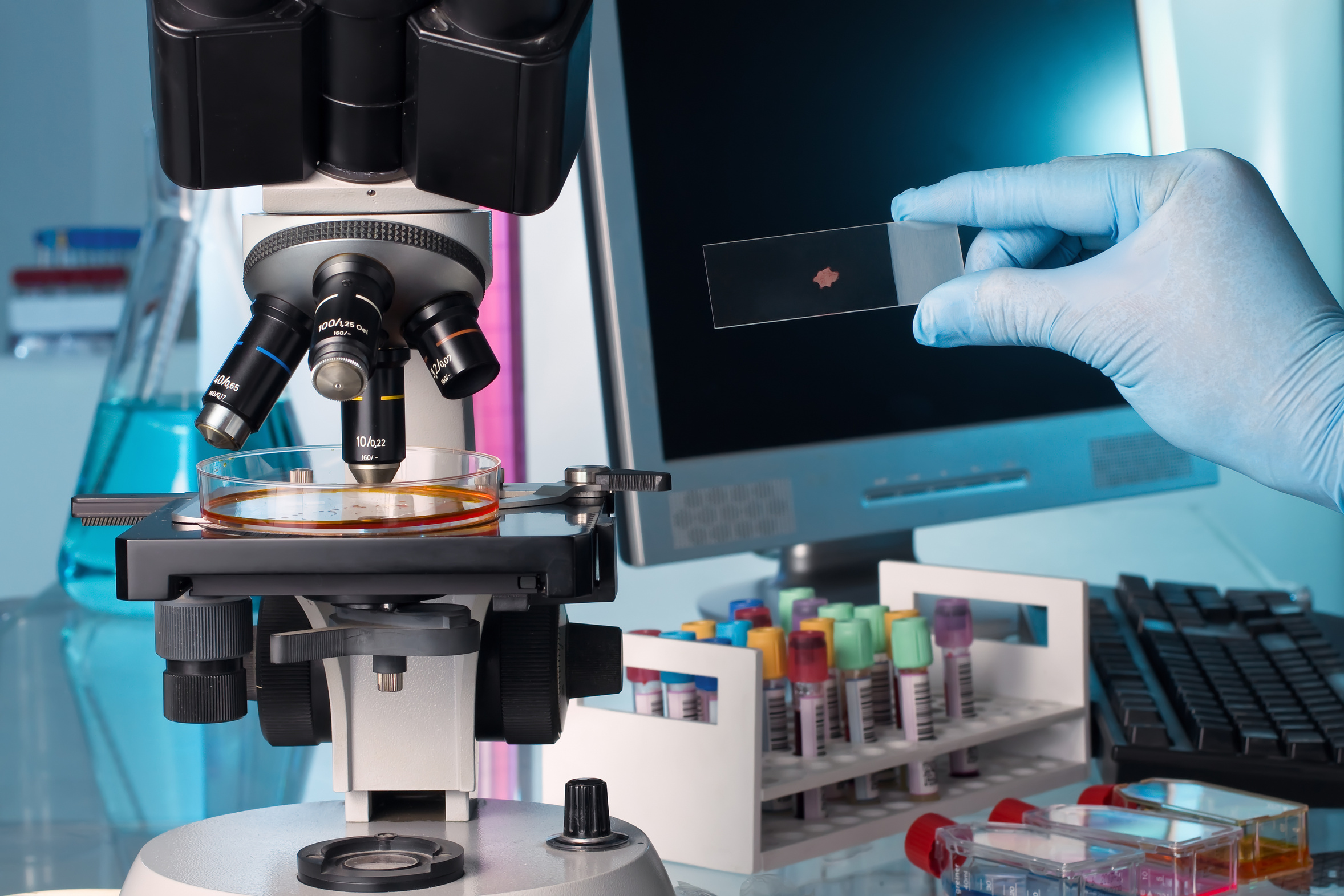 Recherche_microscope Recherche_microscope