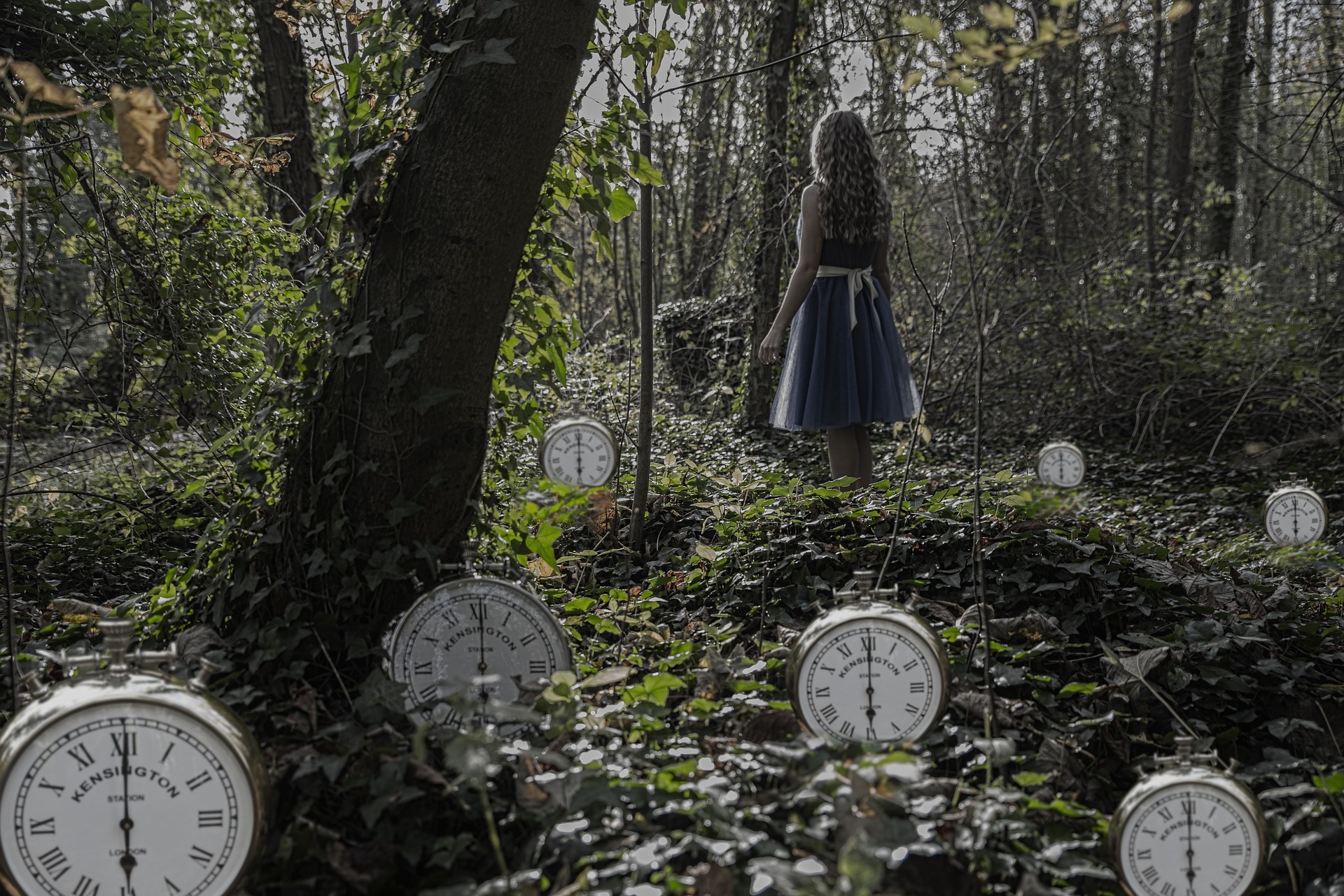 10/04/19 - Alice and Friends in Connected Wonderland Alice