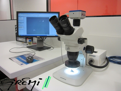 GREMI Microscope optique Olympus