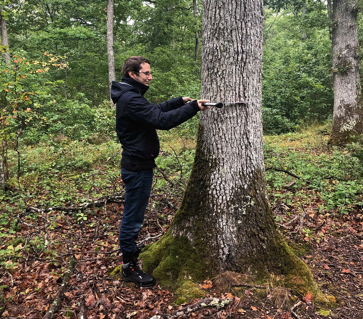COST_BIO_MASTER_FMB_MESURE_ARBRES COST_BIO_MASTER_FMB_MESURE_ARBRES