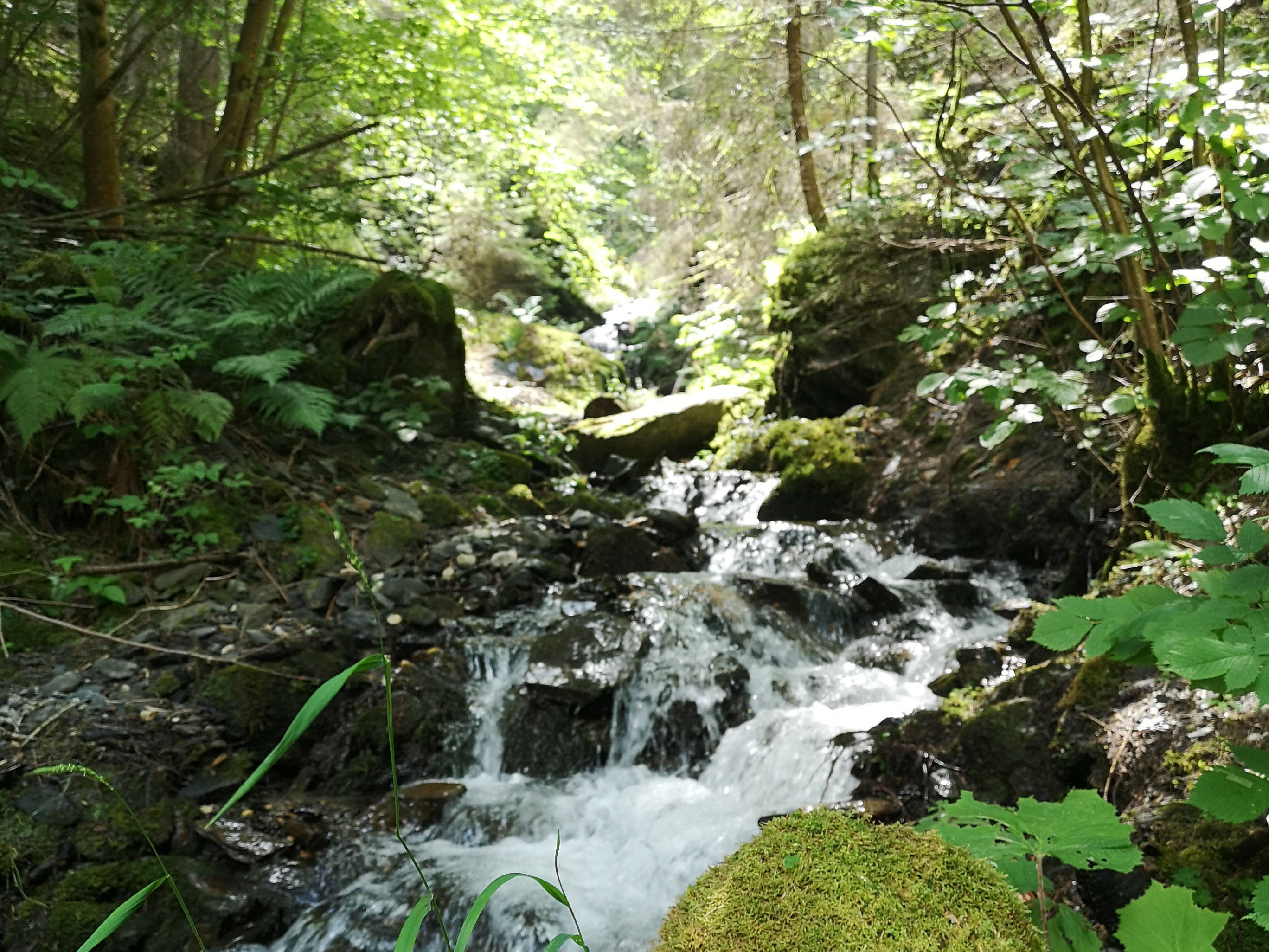 OSUC- eau,forêt OSUC- eau,forêt