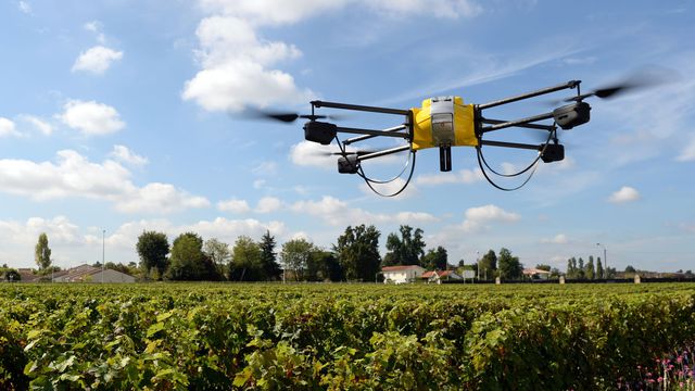 Détection des maladies de vignes par analyse d'images aériennes de drone drone