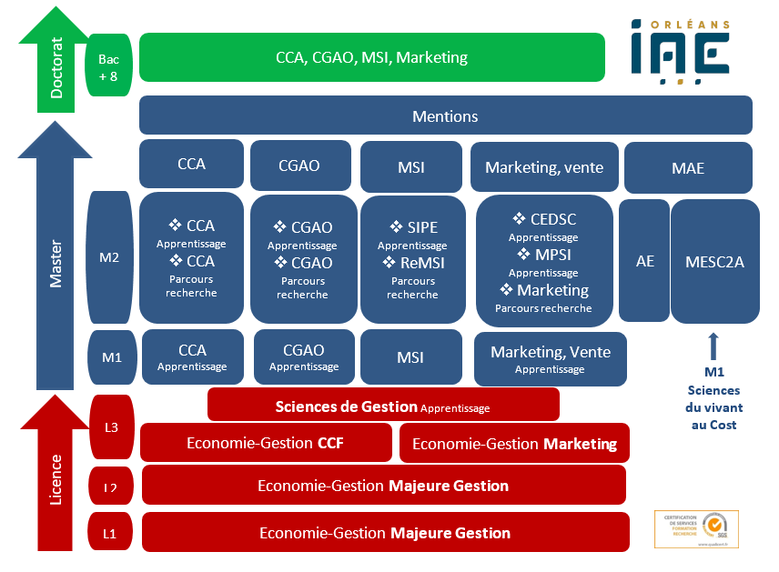 Diagramme formation IAE