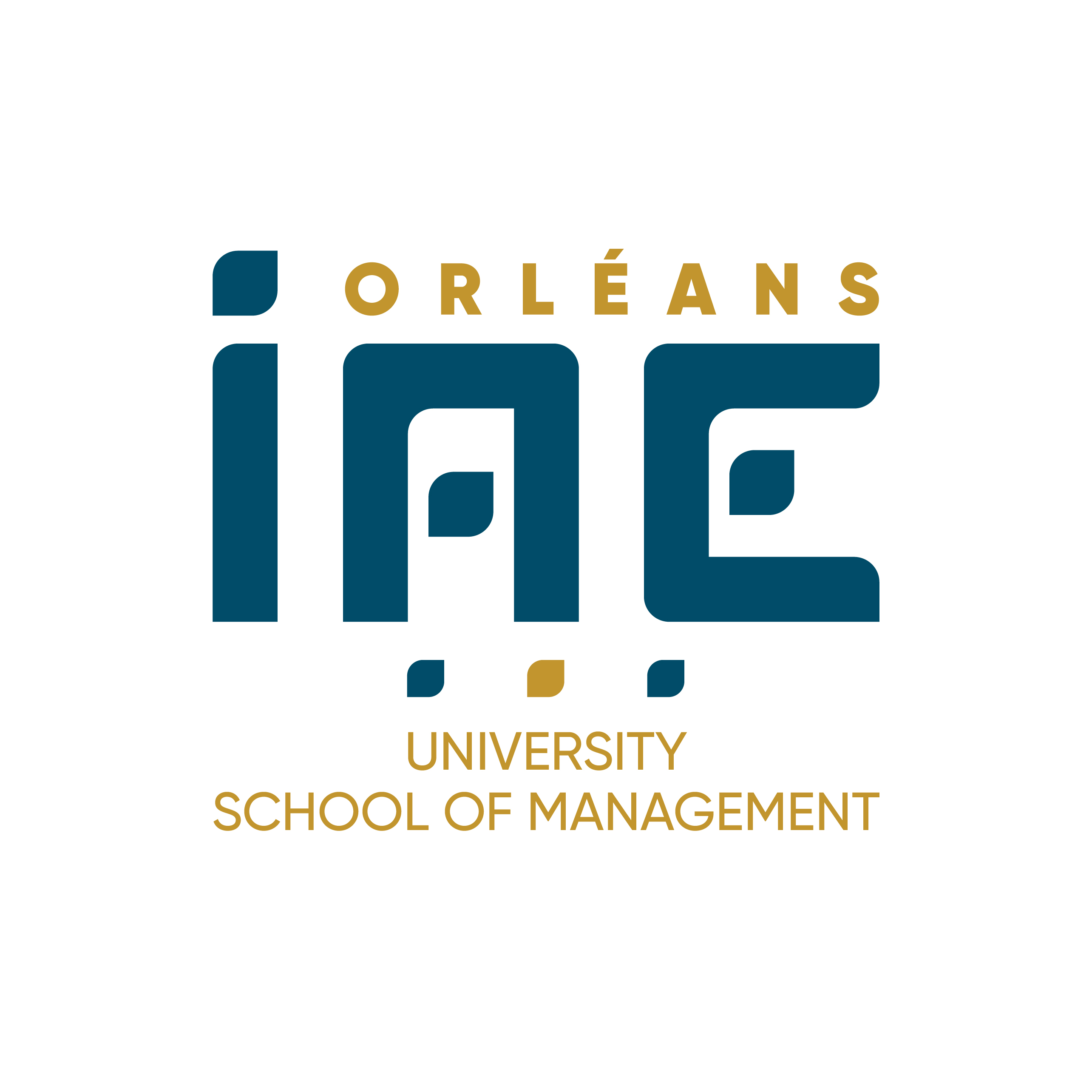 Logo IAE Orléans