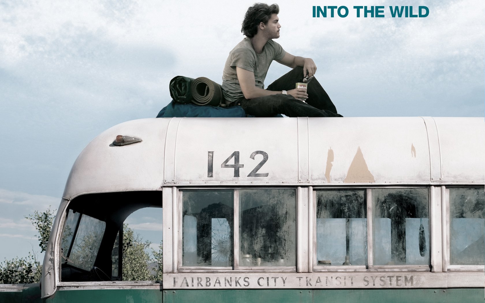 Into the wild - film