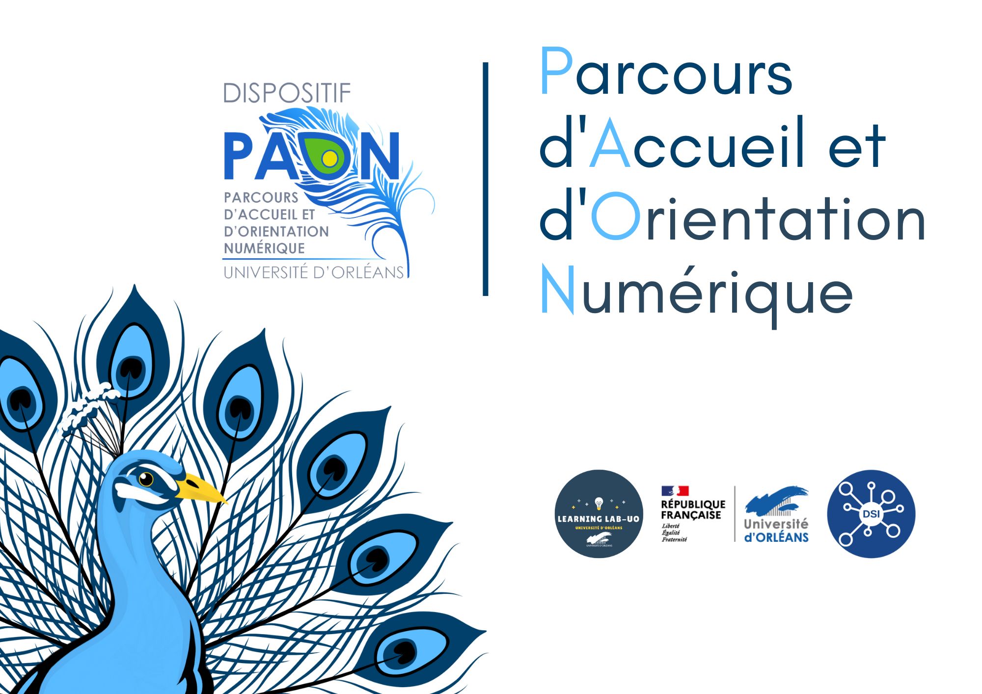 PAON 2023 LLUO Illustration du Parcours d'accueil et d'orientation numérique