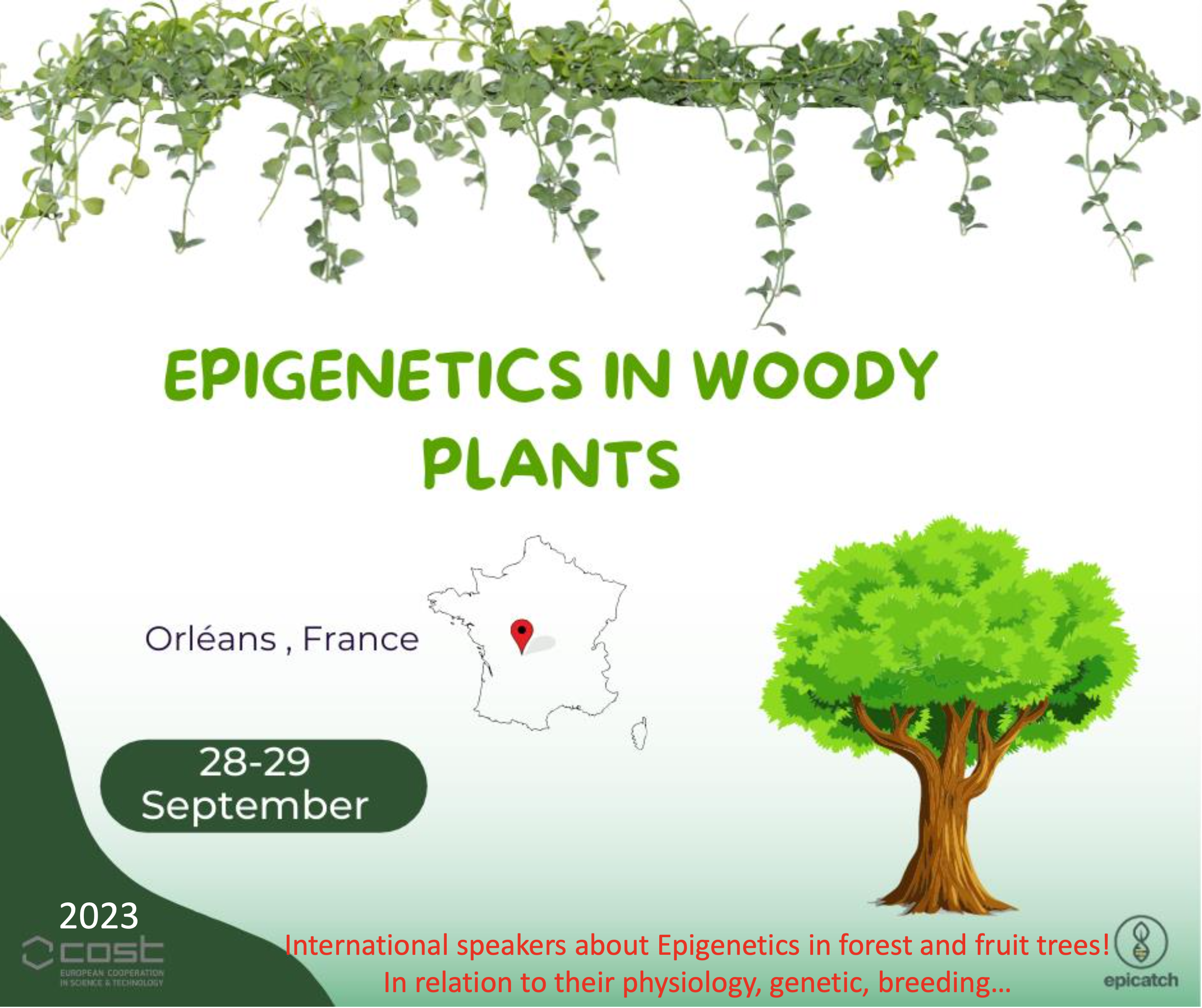 Workshop Epigenetics