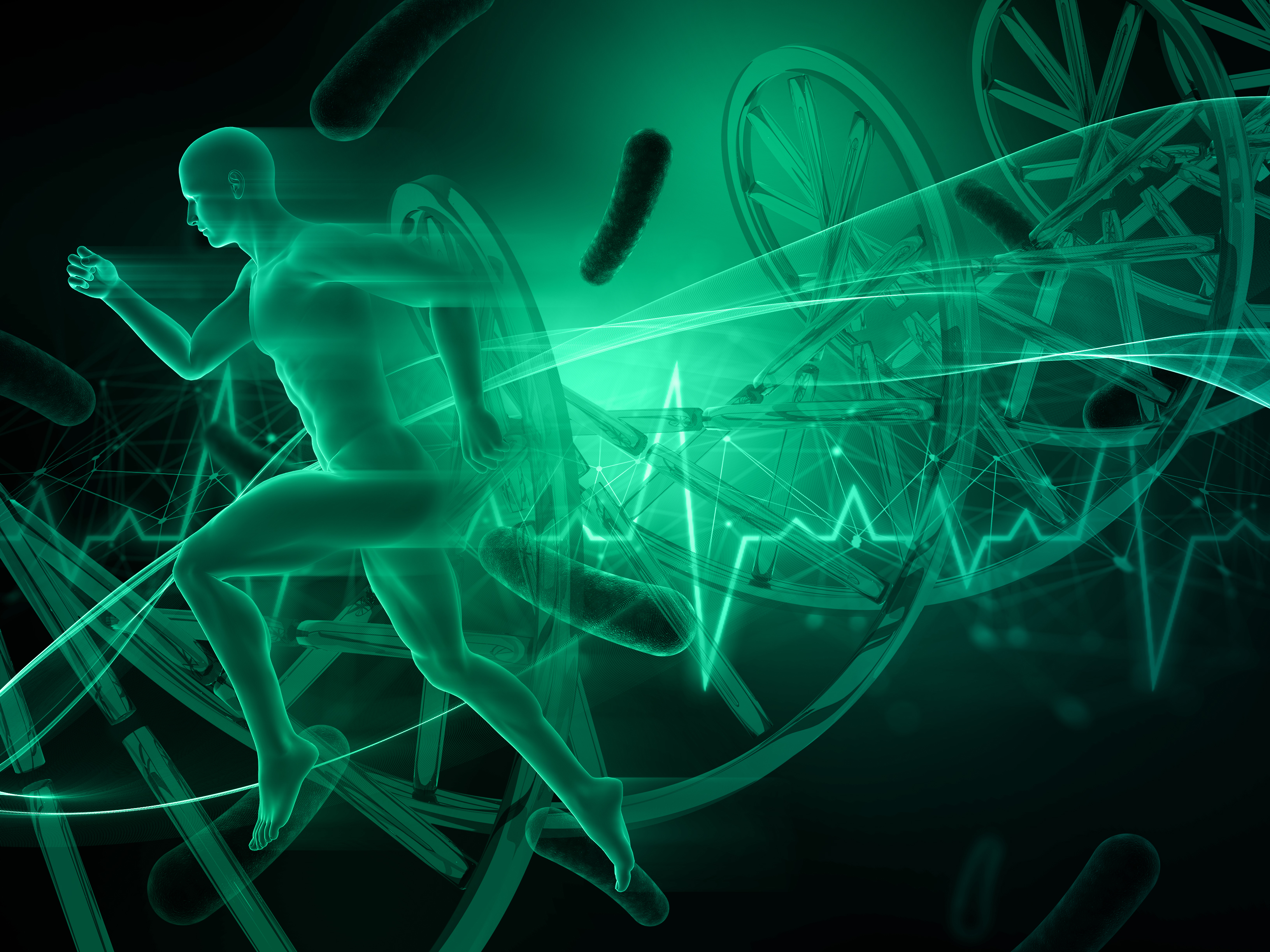 Sport et Science Sport et Science