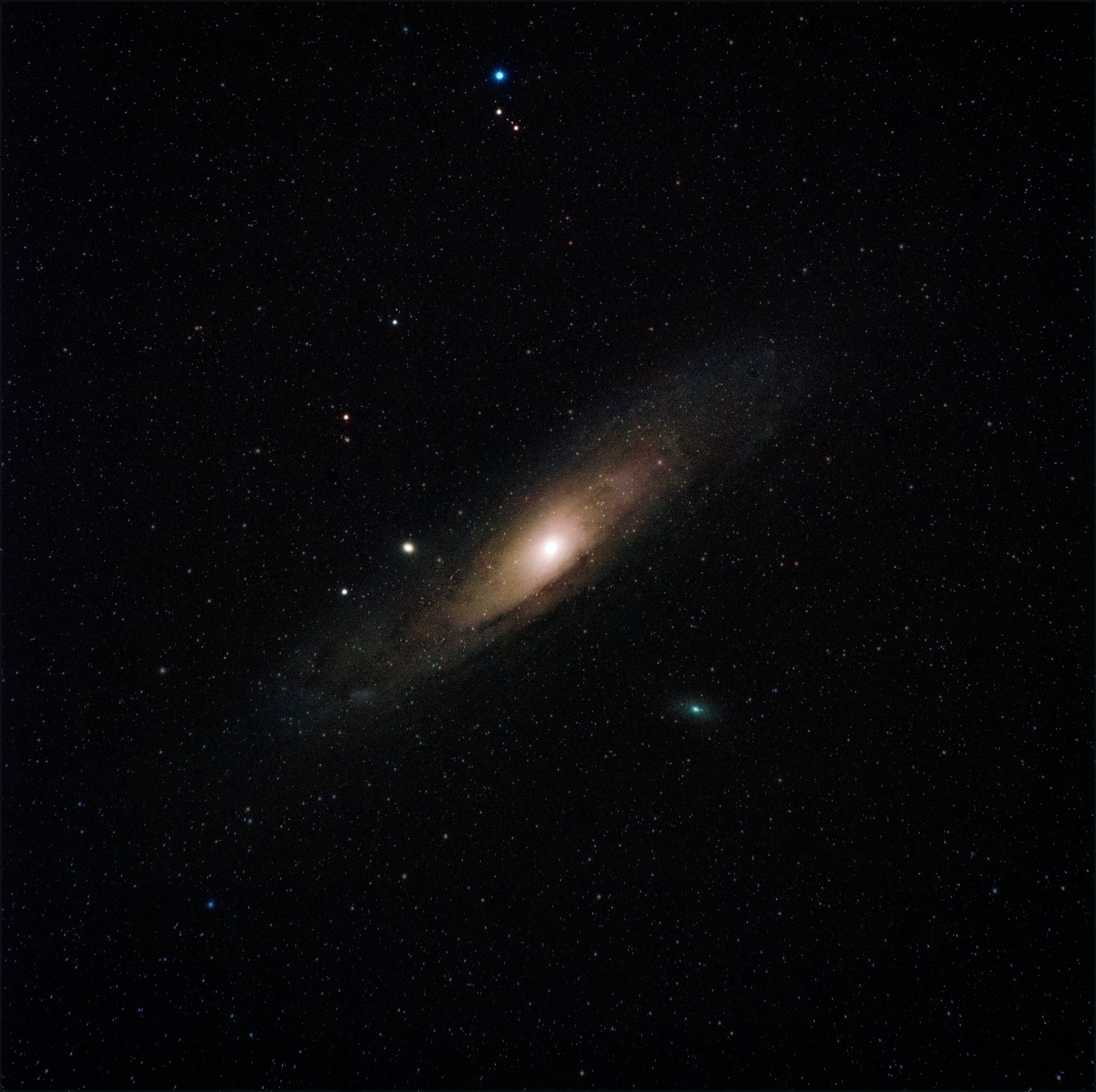 Cosmos
