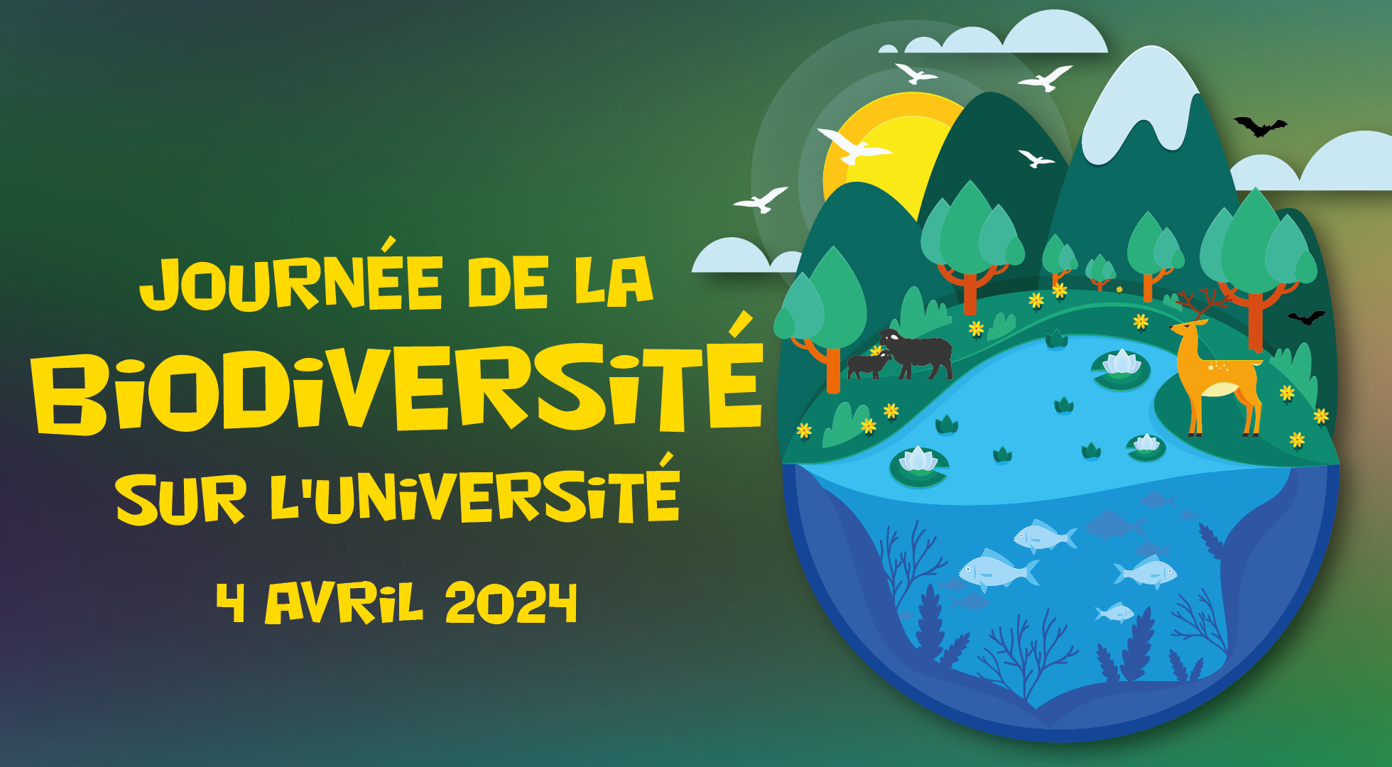 Journée de la biodiversité 2024