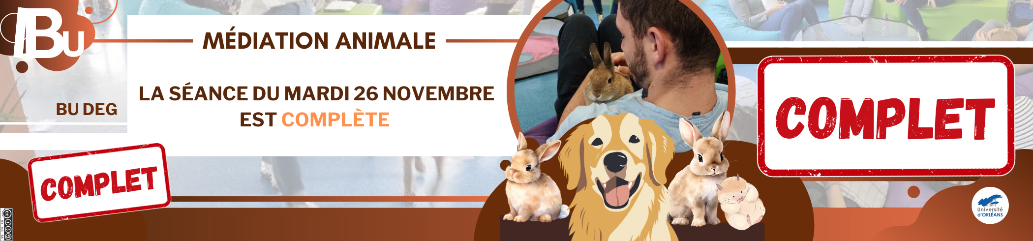 Affiche médiation animale Reprise du texte de l'actu