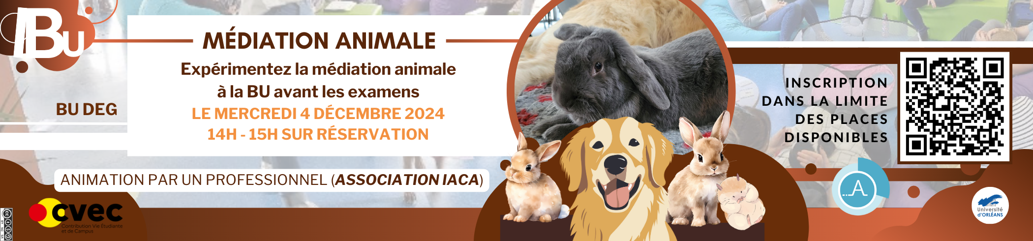 Médiation animale Photo d'un lapin, image d'un chien, et de lapins. Reprise du texte de l'actu.