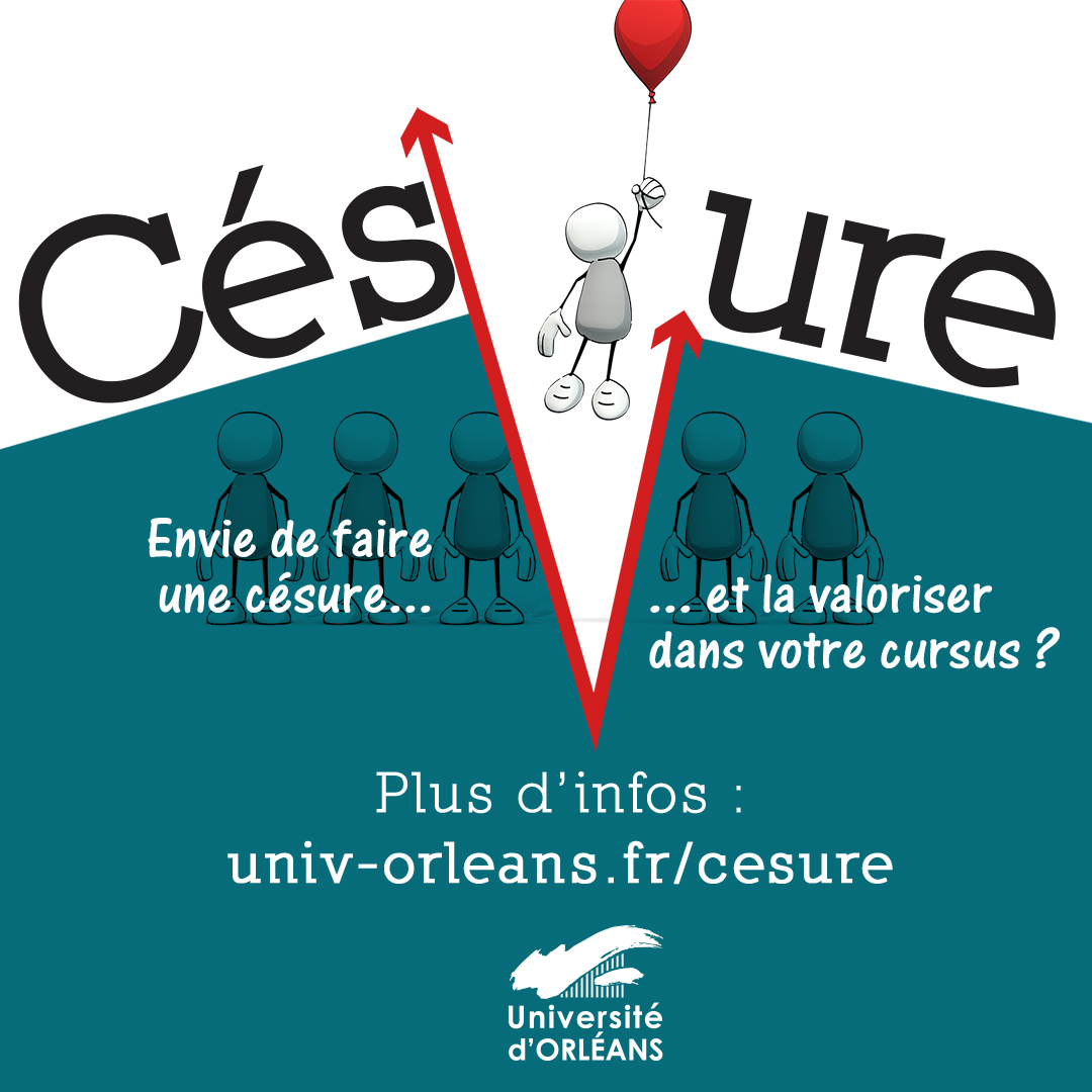 Visuel du dispositif de césure 2025 Visuel du dispositif de césure 2025