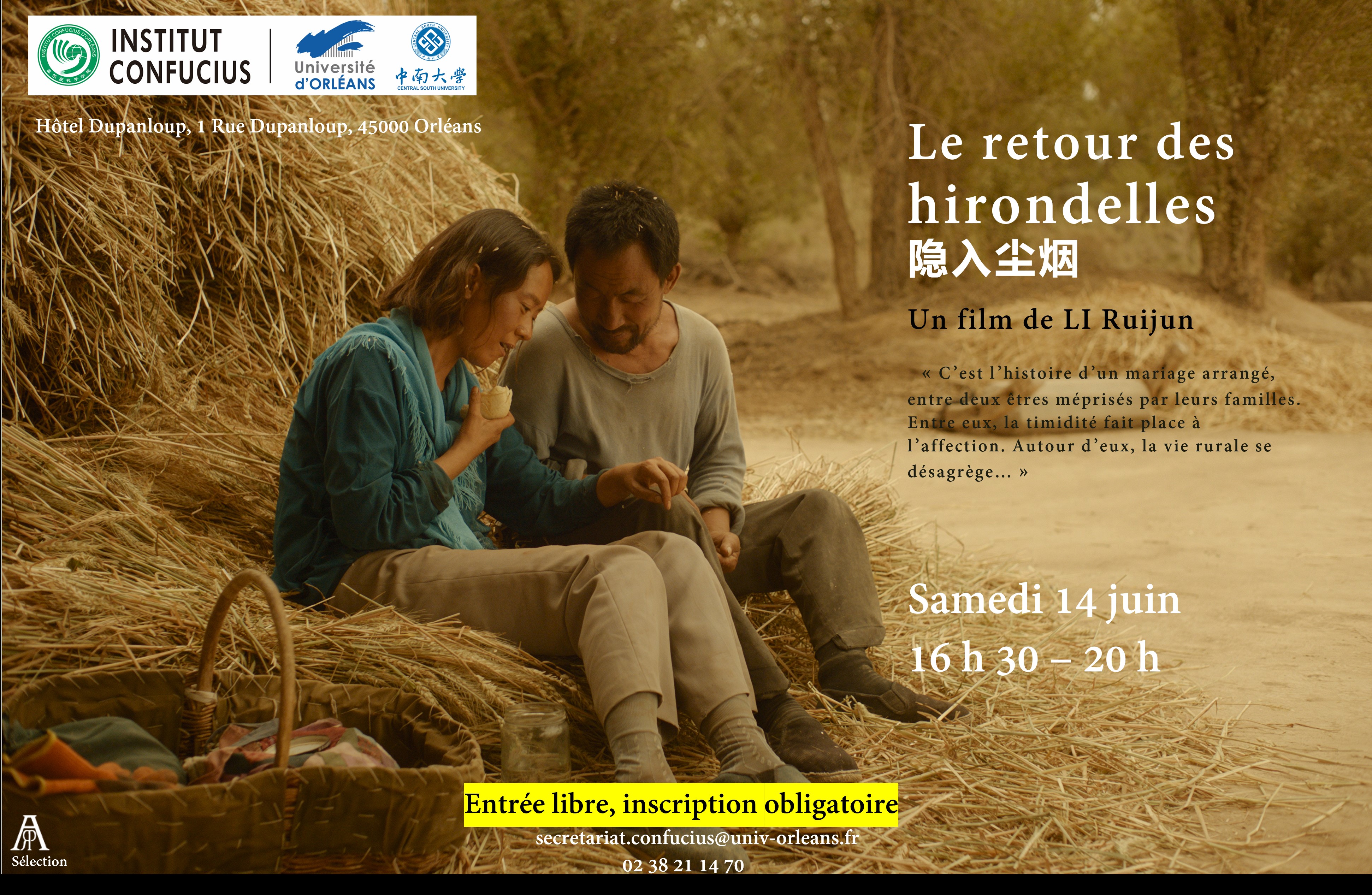Le retour des hirondelles 14 juin 25