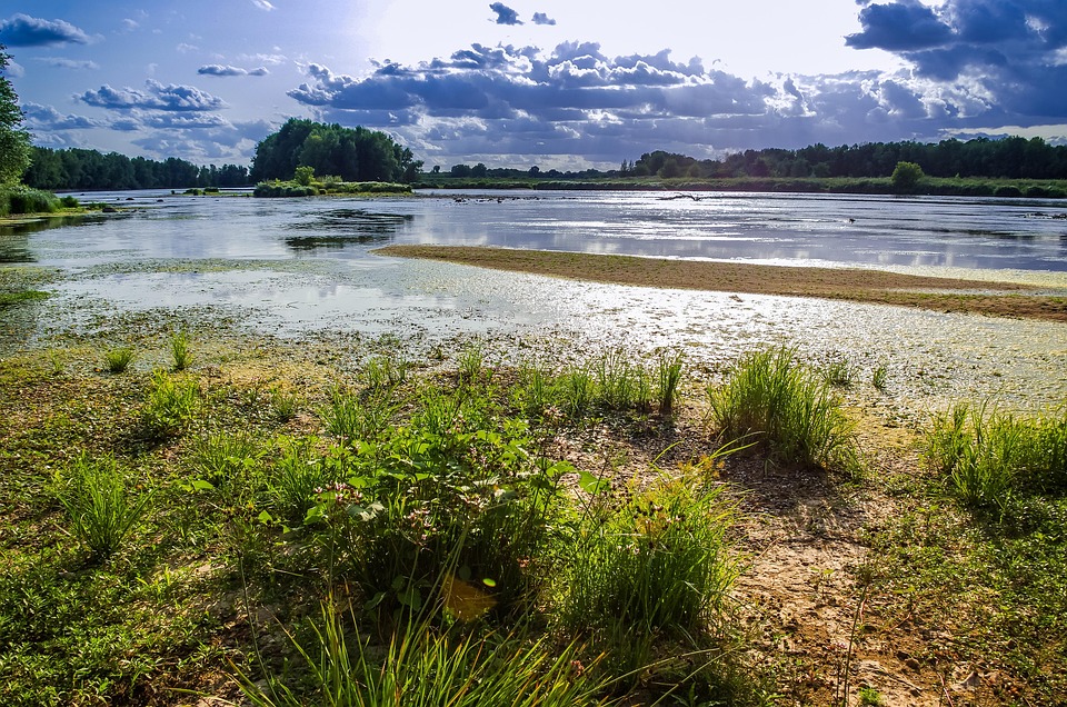 paysage Loire paysage Loire
