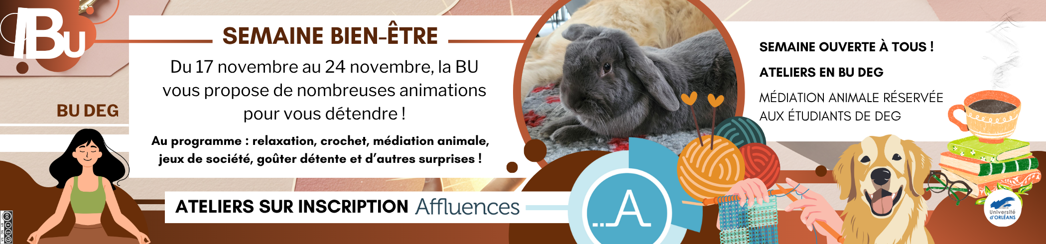 Reprise du texte de l'actu, photo de lapins, icone d'un chien et de pelotes