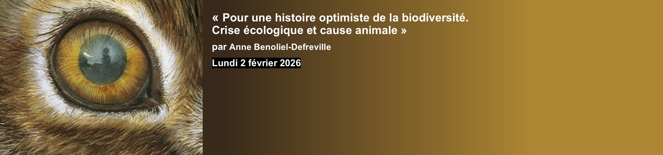 Bannière anthropique