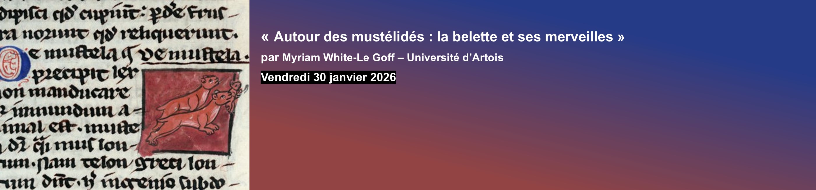 Bannière_Mustélidés