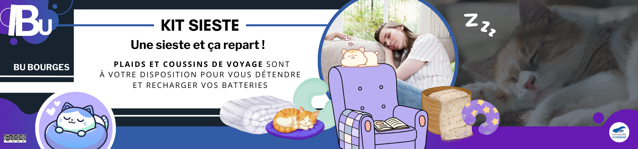 Reprise du texte de l'actu, photo d'une personne endormie sur un canapé, icones de fauteuil et d'un chat