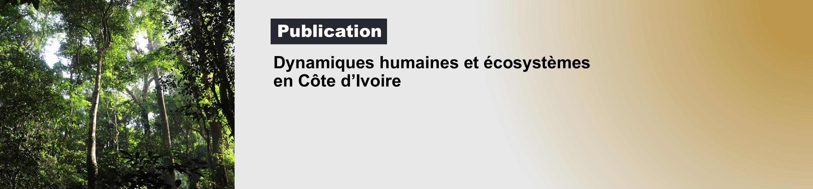 agriculture Côte d'Ivoire