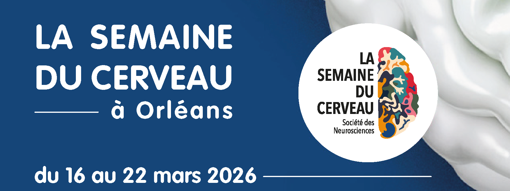 Semanie du cerveau 2026 - programme