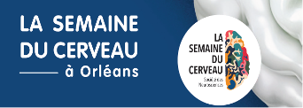 semaine cerveau