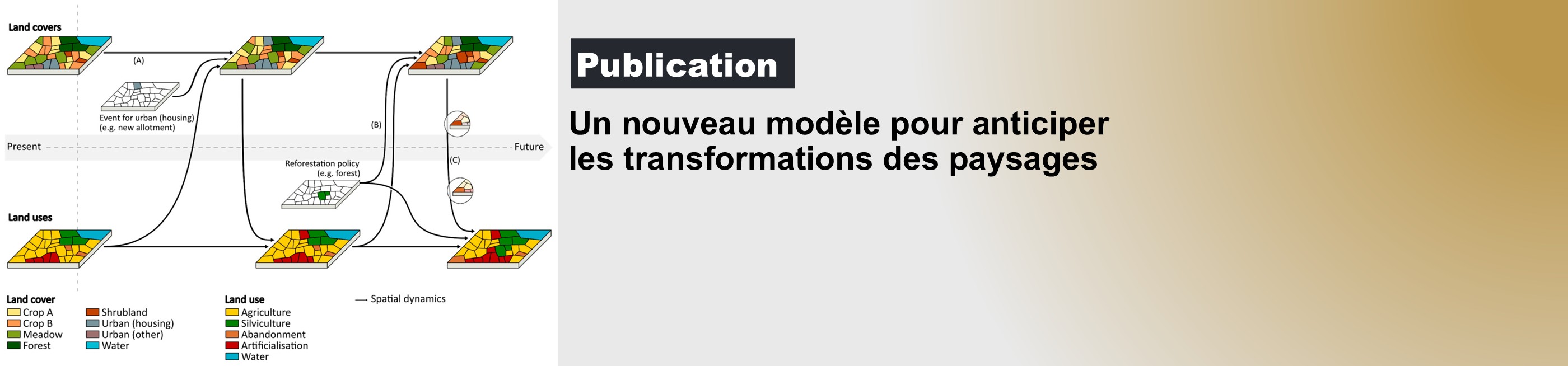 article sur Forescem