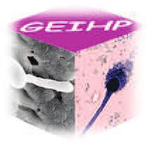 GEIHP GEIHP