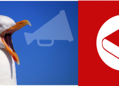 Mouette Rouge.png Mouette Rouge.png