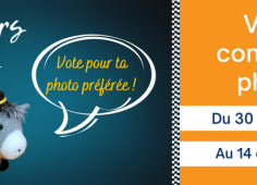 vote concours photo.png