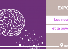 Visuel site web Expo psychomot.png