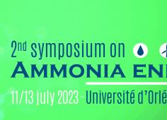 symposium on ammonia energy
