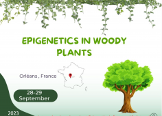 Workshop Epigenetics