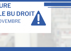 Reprise du texte de l'actu