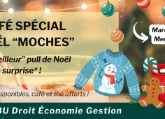 Texte de l'actu entouré d'images de pull de Noel