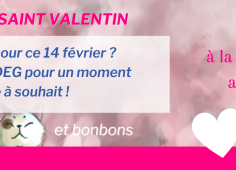 Fond rose avec des coeurs, reprise du texte de l'actu